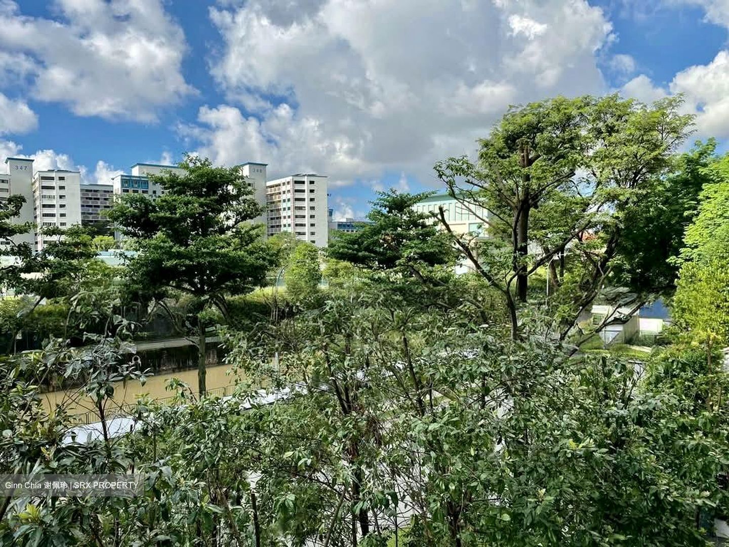 The Lakefront Residences (D22), Condominium #573966081